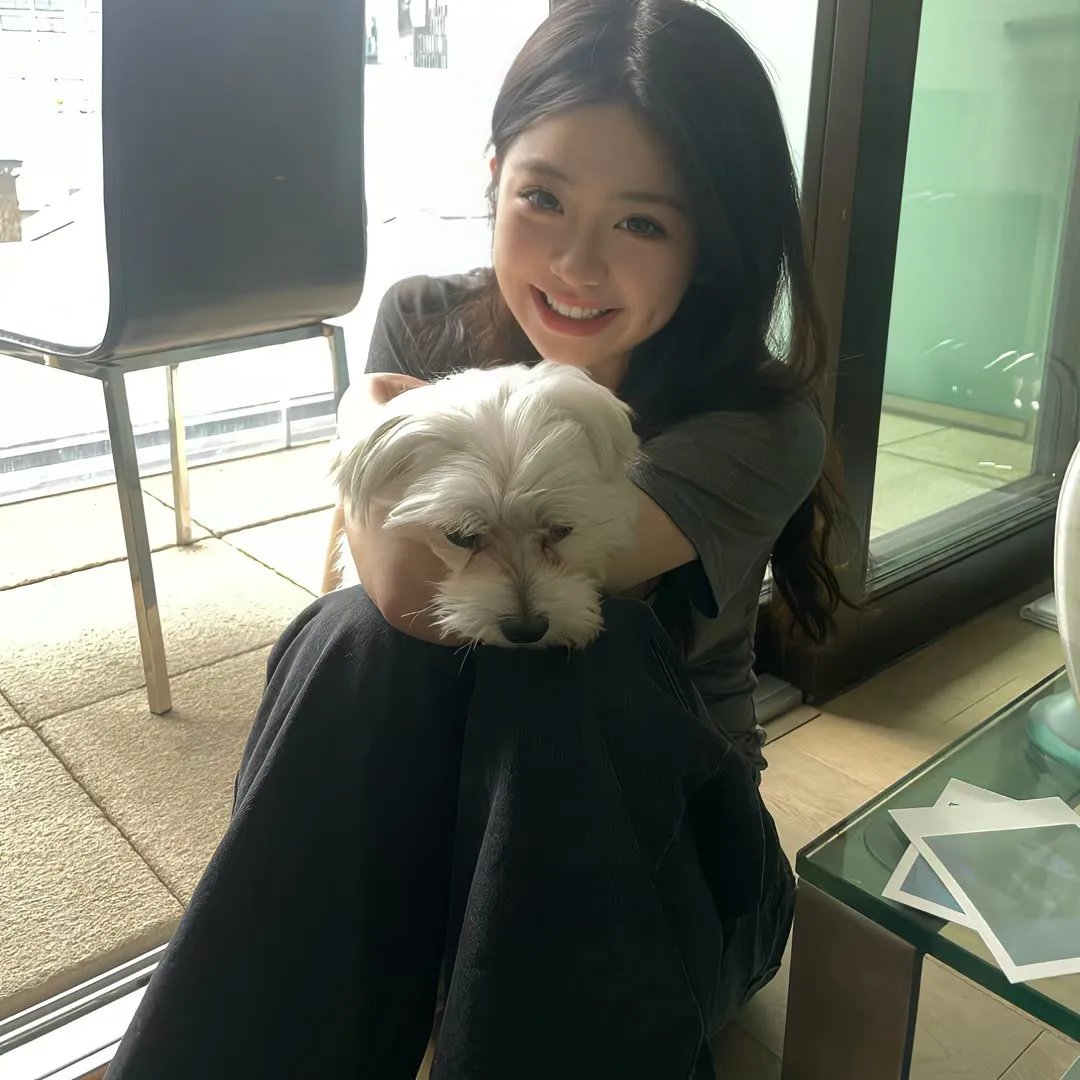 猫老大
